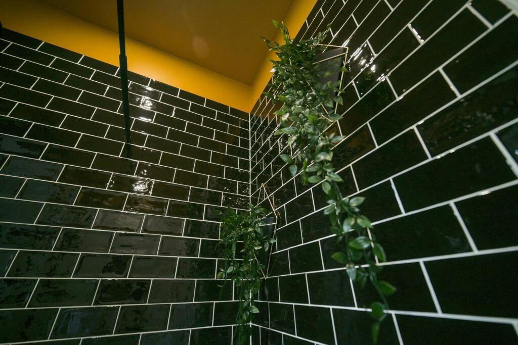 Arty Jaccuzi&spa Centre De Gamme Appartement