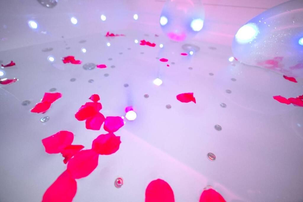 Arty Jaccuzi&spa Centre De Gamme Appartement